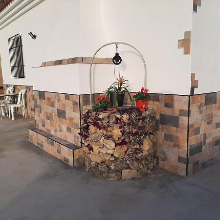 Vivienda Rural Villa Madrid Alcazar 埃尔加斯托尔 外观 照片