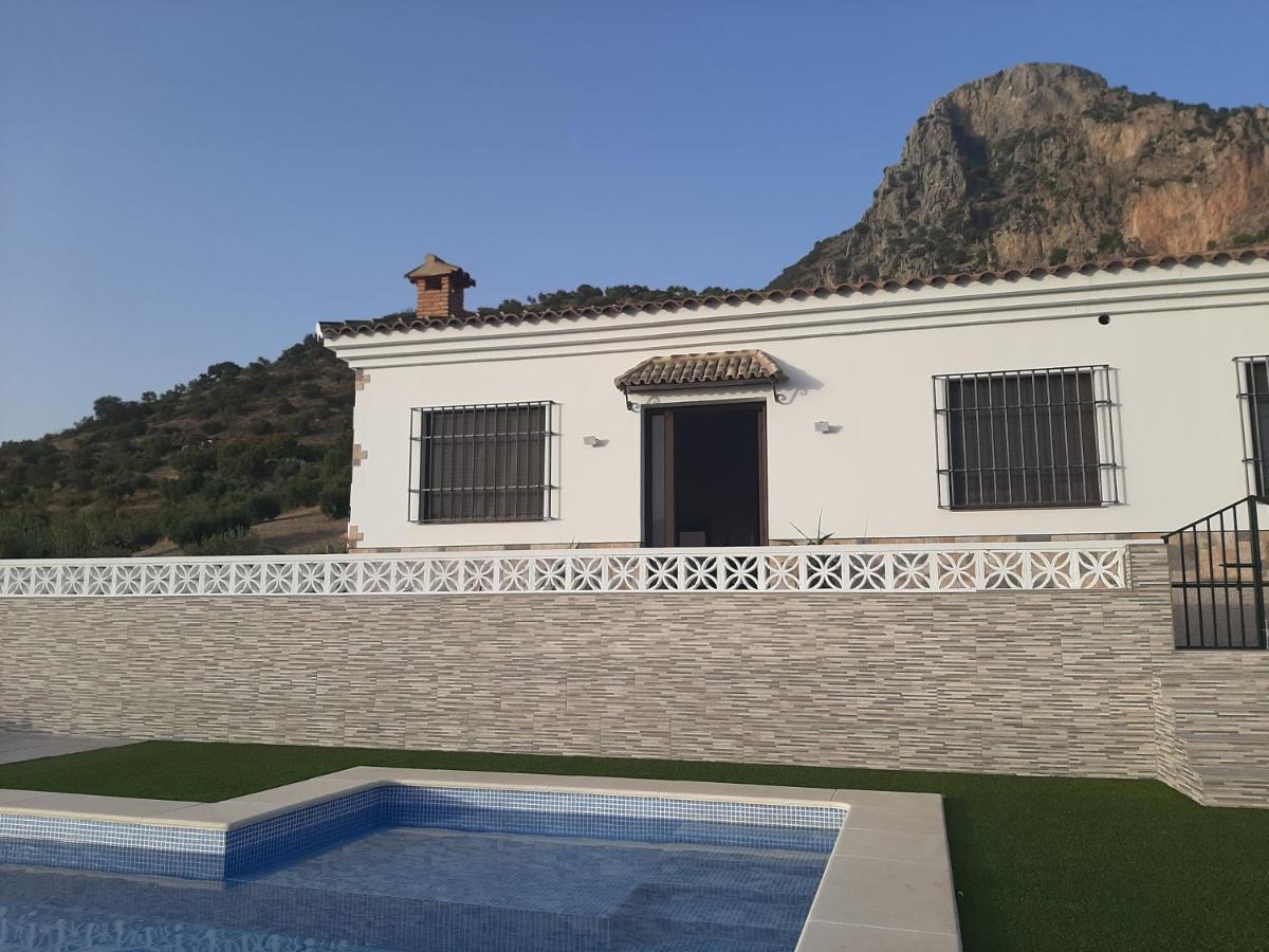 Vivienda Rural Villa Madrid Alcazar 埃尔加斯托尔 外观 照片